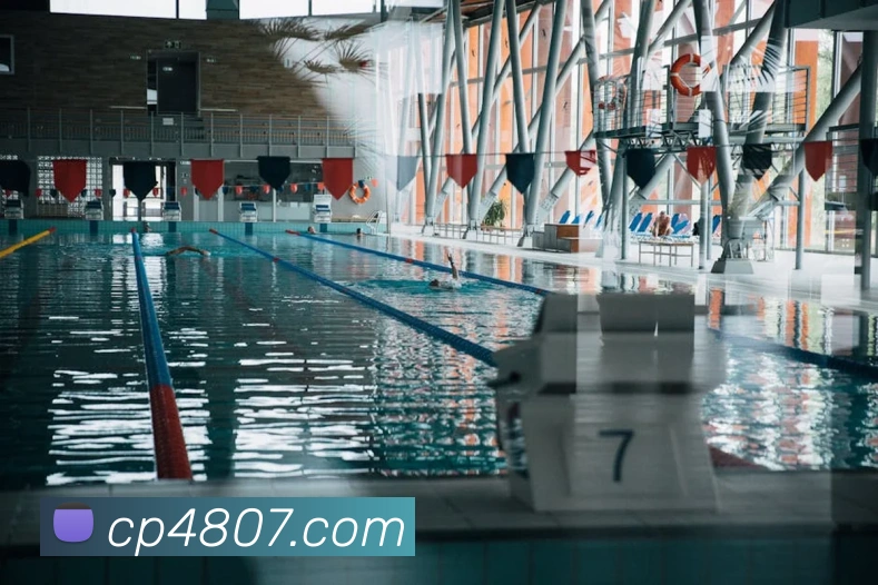 企业概况